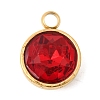 Birthstone Theme January 304 Stainless Steel Pendants STAS-K239-01G-A01-1
