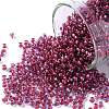 TOHO Round Seed Beads SEED-JPTR11-0304-1