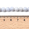 Natural Blue Lace Agate Beads Strands G-G344-A06-6mm-5