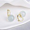 Brass with Resin Round Hoop Earrings EJEW-Q391-09G-02-1