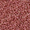 MIYUKI Round Rocailles Beads SEED-X0054-RR0373-3
