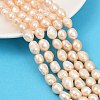 Natural Cultured Freshwater Pearl Beads Strands PEAR-P064-20L-02B-1