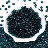 FGB Transparent Glass Seed Beads SEED-N013-01B-08-2