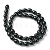 Natural Black Onyx Beads Strands G-D067-D01-4