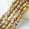 Barrel Shaped Gemstone Natural Crazy Lace Agate Beads Strands G-S114-08-2