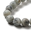 Natural Sesame Jasper/Kiwi Jasper Beads Strands G-I258-02-4