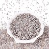 Baking Paint Glass Seed Beads SEED-Q041-03A-13-2