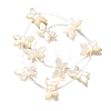 Natural White Shell Beads BSHE-Z008-02-1
