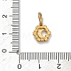 304 Stainless Steel Micro Pave Clear Cubic Zirconia Pendants STAS-Z189-01G-03-3