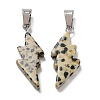 Natural Dalmatian Jasper Pendants G-C057-01P-05-2