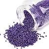 MIYUKI Delica Beads LS-X-SEED-J020-DB2510-1
