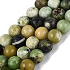 Natural Serpentine Beads Strands G-Q616-07C-2