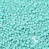 Baking Paint Glass Seed Beads SEED-H002-I-A525-3