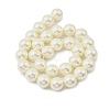 Round Shell Pearl Beads Strands BSHE-XCP0001-25C-02-2