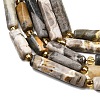Natural Bumblebee Jasper  Beads Strands G-D353-A12-4