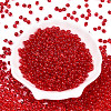 3/0 Baking Paint Glass Fringe Seed Beads SEED-A034-04E-1