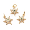 Rack Plating Brass Micro Pave Cubic Zirconia Pendants LS-KK-E081-10G-2