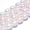 Natural Cultured Freshwater Pearl Beads Strands PEAR-N012-07K-4