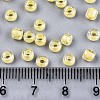 6/0 Glass Seed Beads X1-SEED-A016-4mm-202-4