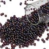TOHO 8/0 Round Beads SEED-XTR08-0166C-1