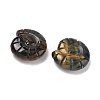 Natural Tiger Eye Conch Display Decorations DJEW-D303-01A-2