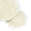 FGB Grade A Glass Round Bugle Beads SEED-Q040-06A-03-2