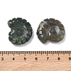 Natural Indian Agate Conch Display Decorations DJEW-D303-01H-3