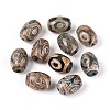 Tibetan Style dZi Beads TDZI-N001-009-1