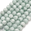 Glass Beads Strands G-L642-B18-10mm-2