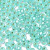 6/0 Glass Seed Beads SEED-Z001-B-E05-3