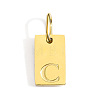 304 Stainless Steel Pendants STAS-Z143-01G-C-1