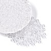 FGB Transparent Glass Seed Beads SEED-N013-01B-13-2