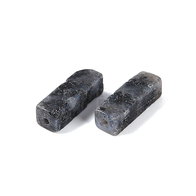 Natural Larvikite Beads G-G137-01M-1