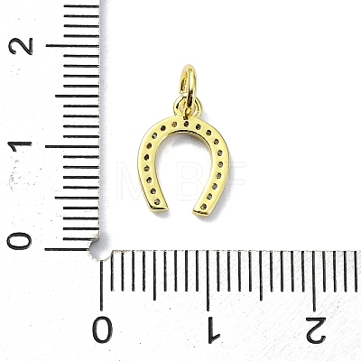Brass Micro Pave Claer Cubic Zirconia Charms KK-H475-44G-1