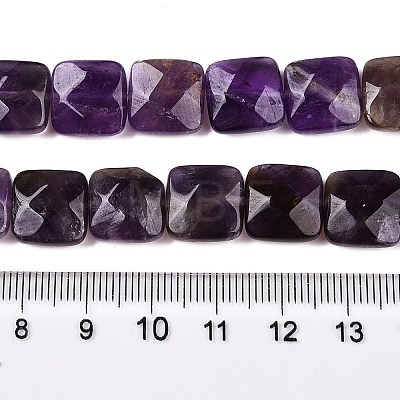 Natural Amethyst Beads Strands G-T138-168-1