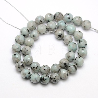 Natural Sesame Jasper/Kiwi Jasper Beads Strands G-L147-4mm-01-1