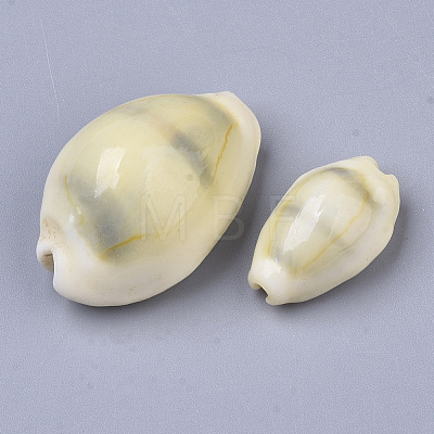 Natural Cowrie Shell Beads X-SSHEL-N034-B-26-1