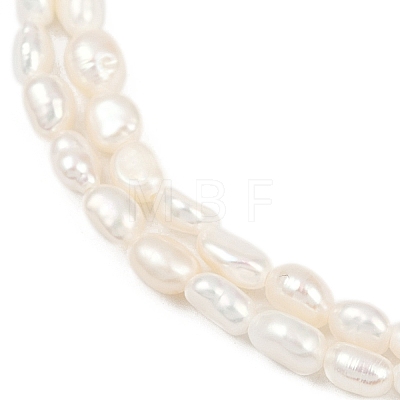 Natural Cultured Freshwater Pearl Beads Strands PEAR-P064-20E-05A-1