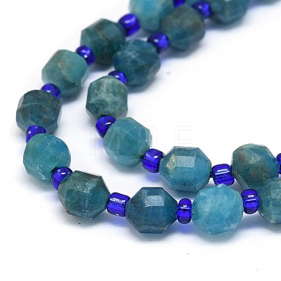 Natural Apatite Beads Strands G-O201B-04-1