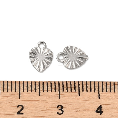 304 Stainless Steel Charms STAS-C080-03P-1
