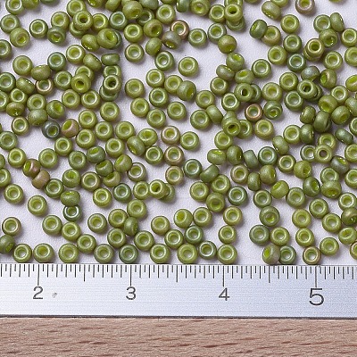 MIYUKI Round Rocailles Beads X-SEED-G007-RR2033-1