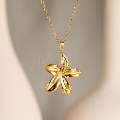 304 Stainless Steel Pendant Necklaces FS-WG18833-01-1