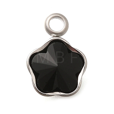 304 Stainless Steel Pendants STAS-Q346-02P-05-1