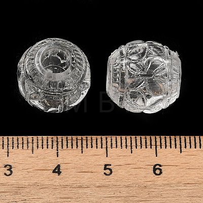 Transparent Acrylic European Beads TACR-G048-12-1