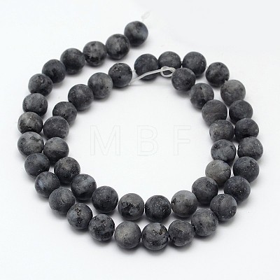 Natural Larvikite Beads Strands G-D692-12mm-1