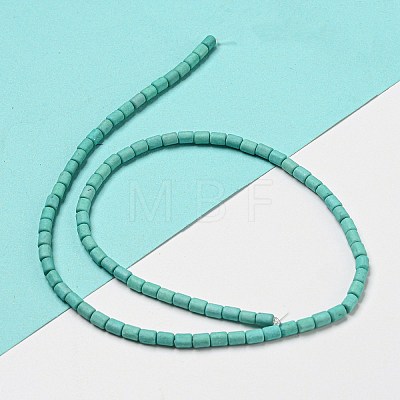 Dyed Synthetic Turquoise Beads Strands G-G075-A02-01-1