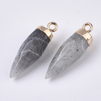 Top Golden Plated Natural Labradorite Pointed Pendants G-S359-078D-1