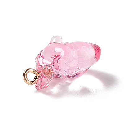 Transparent Resin Pendants RESI-E028-01G-06-1