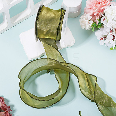 Polyester Mesh Ribbon SRIB-TAC0002-29A-02-1