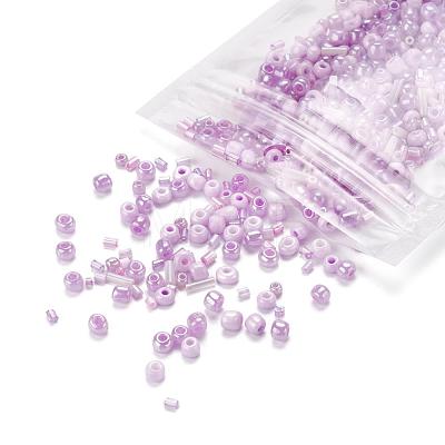 Glass Seed Beads X-SEED-S059-009-1